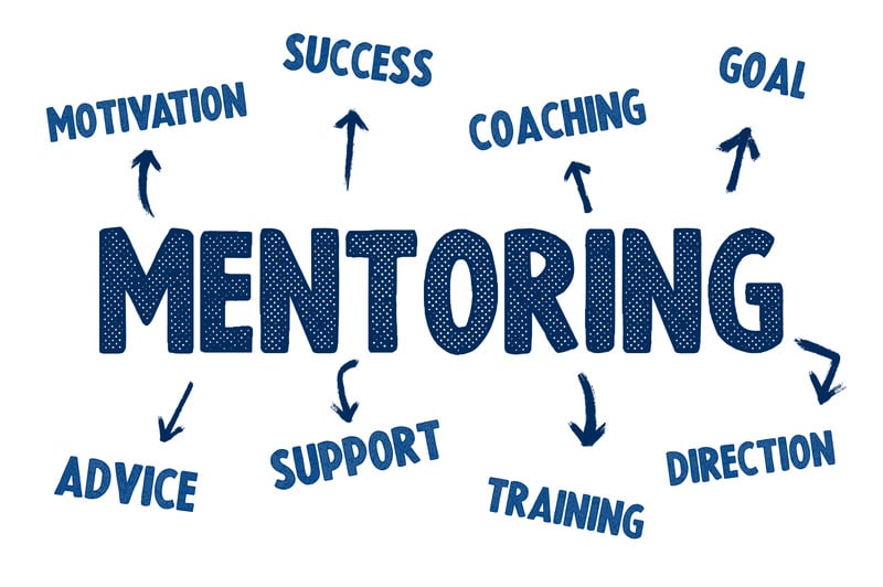 Mentoring process